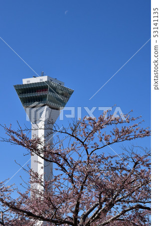 五棱郭塔和櫻花和月亮 五棱郭塔和櫻花和月亮 53141135