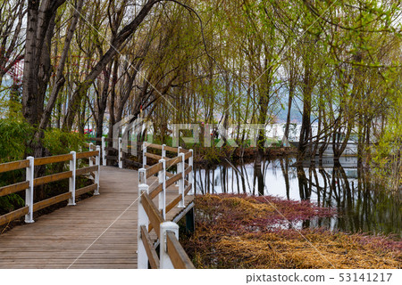 中國雲南麗江拉市海 Scenic Spots in China 國際重要濕地 自然保護區 候鳥 53141217