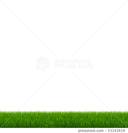 Green Grass And White Background 53141619