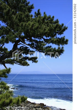 風景區 - 伊豆半島的松樹 風景區 - 伊豆半島的松樹 53142002