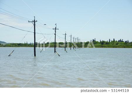 Ocean and telephone pole 53144519