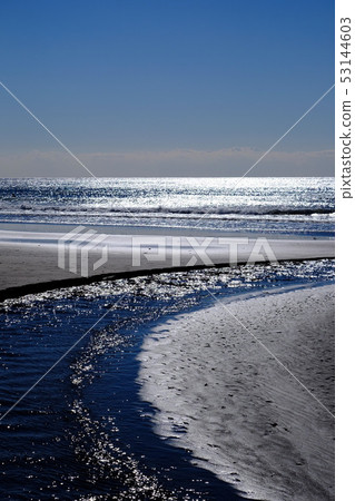 Coastal landscape · Timber Coast 53144603