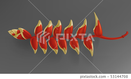 Tropical black and gold leaves on dark background Tropical black and gold leaves on dark background 53144708