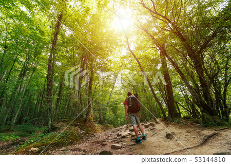 A traveler with a backpack in the spring forest on 53144810