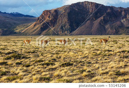 Perito Moreno Park Perito Moreno Park 53145206