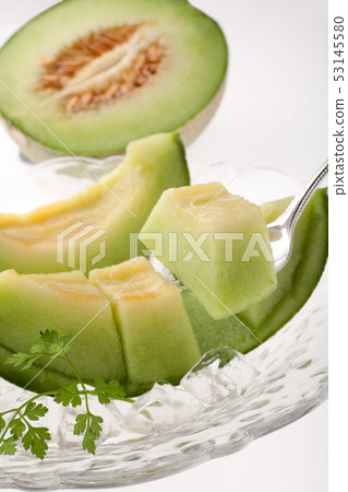 Takami Melon 53145580