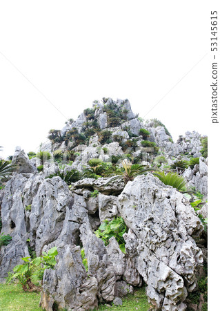 Okinawa no Mori Okinawa no Mori 53145615