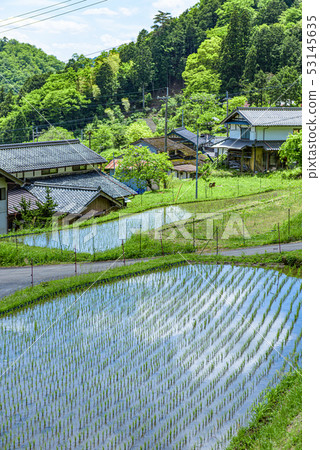 Terraced fields in Mobara, Kyoto Prefecture 53145635