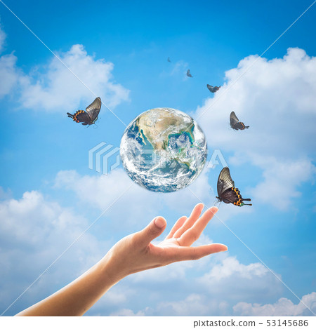 World environment day ecology ozone layer protect 53145686