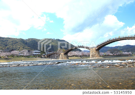 Kintai bridge in spring Kintai bridge in spring 53145950