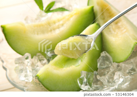 Takami Melon 53146304