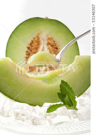 高見甜瓜 53146307