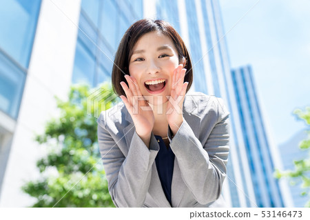 Business woman business image working woman Business woman business image working woman 53146473