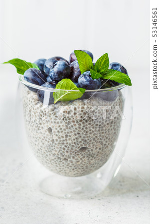 Chia pudding with blueberries and mint in glass Chia pudding with blueberries and mint in glass 53146561