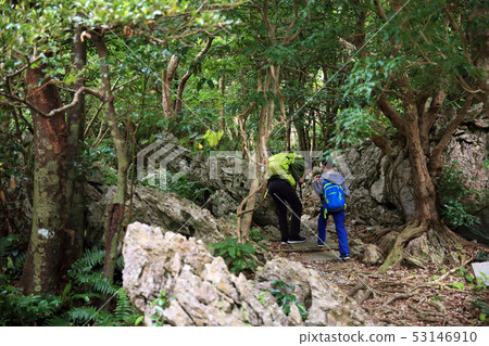 Okinawa no Mori Okinawa no Mori 53146910