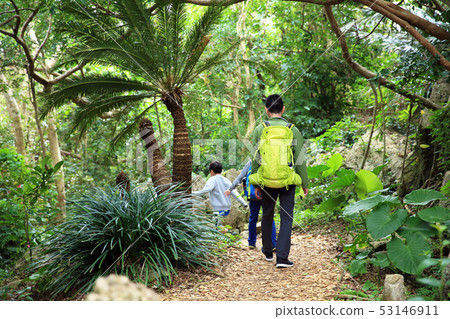 Okinawa no Mori Okinawa no Mori 53146911
