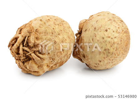 Fresh celery root isolated on white background Fresh celery root isolated on white background 53146980