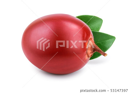 Fresh tamarillo fruit with leaves isolated on white background Fresh tamarillo fruit with leaves isolated on white background 53147397