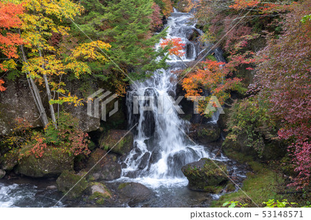 Tochigi Prefecture Nikko City Ryuto No Taki (October) 53148571