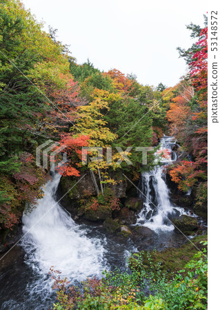 Tochigi Prefecture Nikko City Ryuto No Taki (October) 53148572