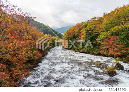 栃木縣日光市Ryoto No Taki的上半部分（10月） 53148593