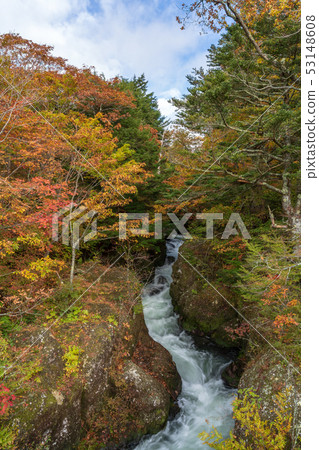 栃木縣日光市湯川(10月) 栃木縣日光市湯川(10月) 53148608