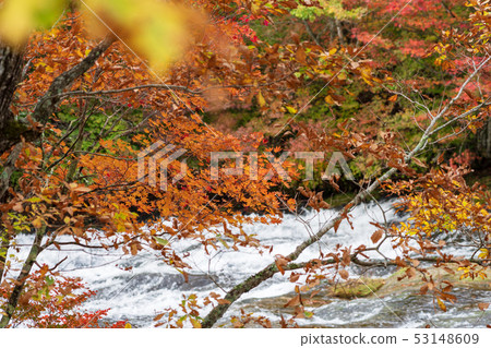 栃木縣日光市Ryuto No Taki(10月) 栃木縣日光市Ryuto No Taki(10月) 53148609