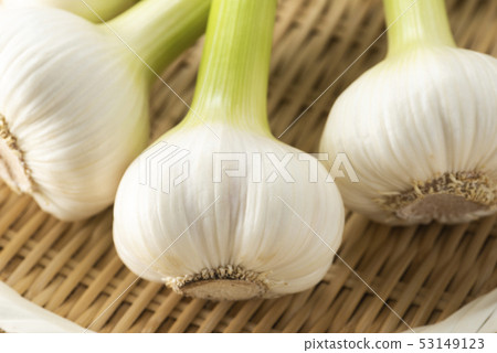 Raw garlic in a bowl 53149123