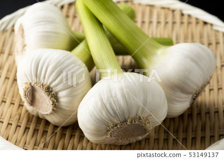 生蒜 生蒜 53149137