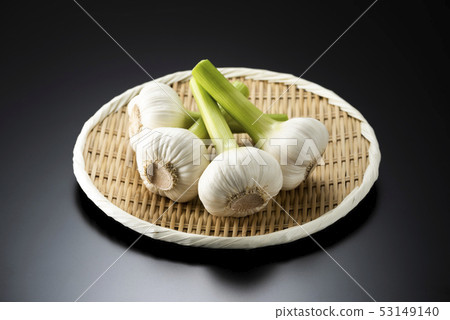 生蒜 53149140
