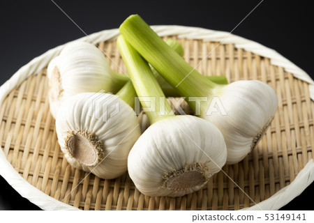 生蒜 53149141