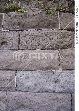 Sata Atsushi燈塔監護人（Satamabuchi，Minami-Osumicho，鹿兒島縣）官方網站 53150259