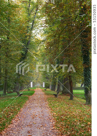 Footpath in autumn park Footpath in autumn park 53150935