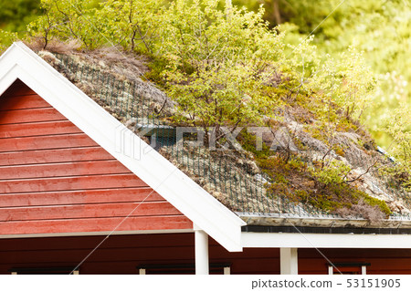 Norwegian house with grass roof Norwegian house with grass roof 53151905