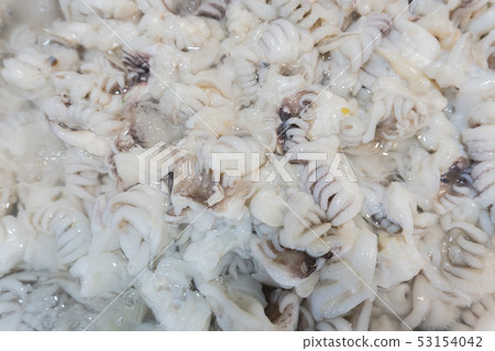Fresh squid from fresh sea 53154042