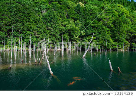 風景 風景 53154129