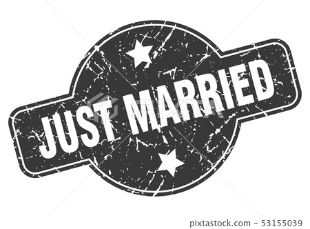 Just Married 插圖素材 圖庫