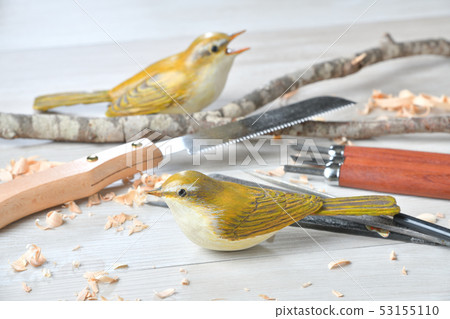 Bird carving. Wild bird wood sculpture, wild bird sculpture. Colored is a warbler. *This is a work in progress by an amateur. Bird carving. Wild bird wood sculpture, wild bird sculpture. Colored is a warbler. *This is a work in progress by an amateur. 53155110