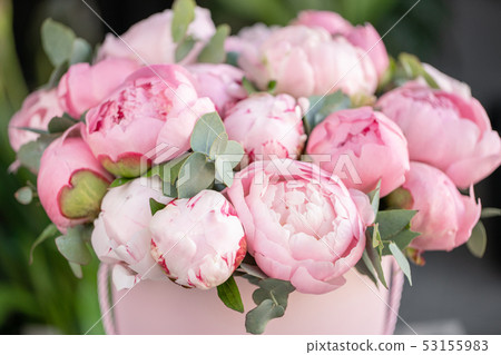 Close-up of flowers Pink peonies . Beautiful peony flower for catalog or online store. Floral shop 53155983