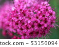 Shimotsuke 53156094