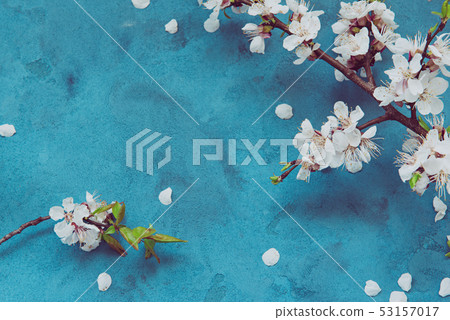 Grunge floral background 53157017