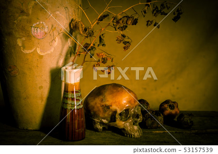 Human skull and flower vase old on wooden 53157539