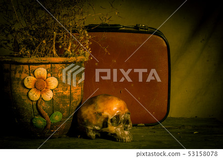 Human skull and flower vase old treasure on wooden 53158078