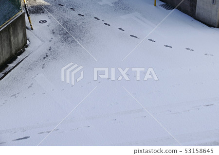 The footprints of a person and a cat left in the snow The footprints of a person and a cat left in the snow 53158645
