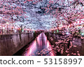 Meguro River Sakura 53158997