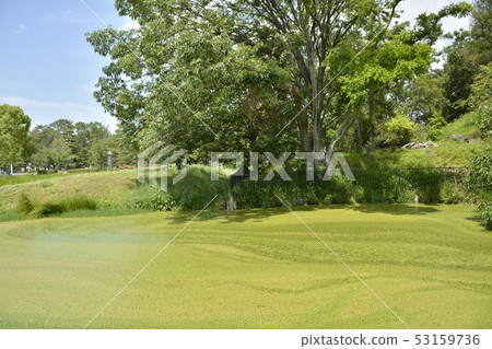 [Osaka Prefecture Sakai City] The World Heritage Site-Son Taihu Mountain Ancient Tombs of the Mongoose Tomb Group 53159736