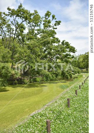 [Osaka Prefecture Sakai City] The World Heritage Site-Son Taihu Mountain Ancient Tombs of the Mongoose Tomb Group 53159746