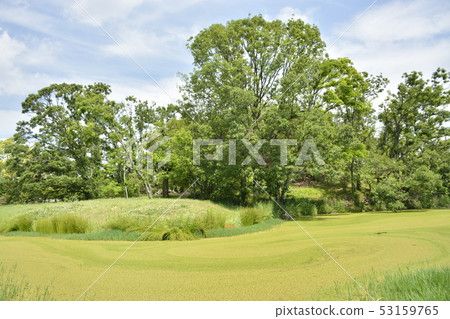 [Osaka Prefecture Sakai City] The World Heritage Site-Son Taihu Mountain Ancient Tombs of the Mongoose Tomb Group 53159765