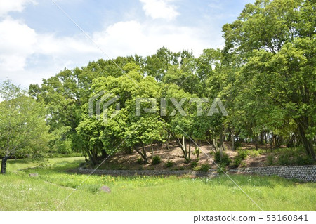 [Osaka Prefecture Sakai City] Hatazuka Tumulus, a World Heritage Site of Mozu Tumulus 53160841