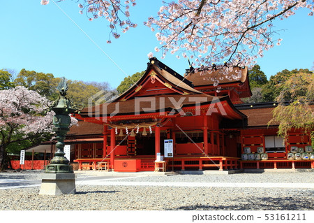 Fujiyama Motomiya Asama Taisha和櫻花 53161211